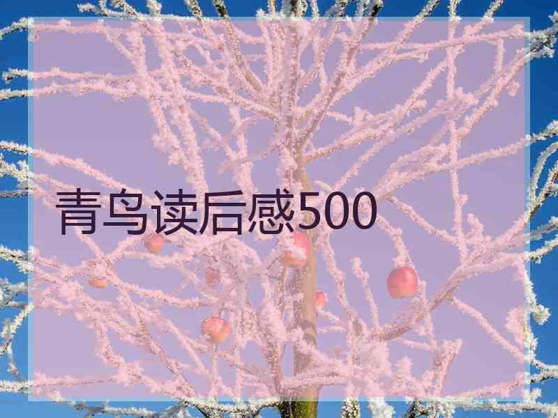 青鸟读后感500