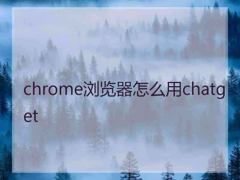 chrome浏览器怎么用chatget