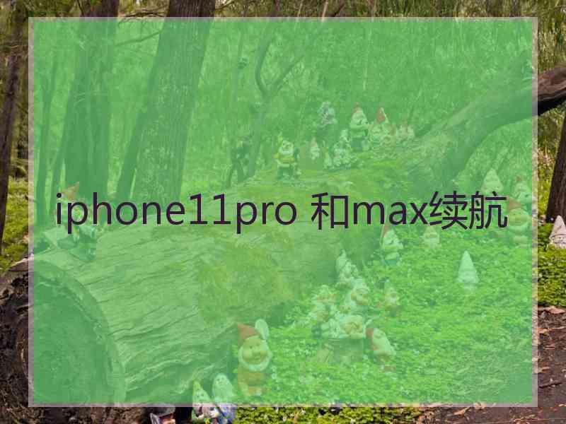 iphone11pro 和max续航