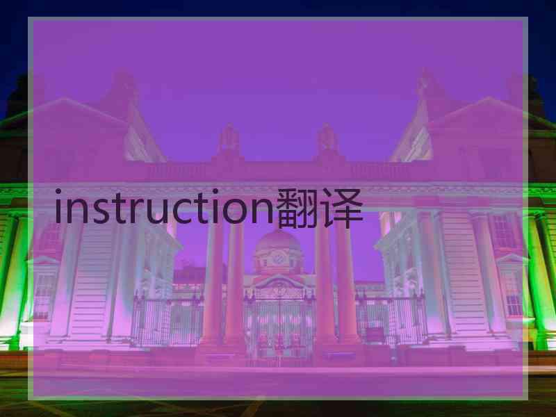 instruction翻译