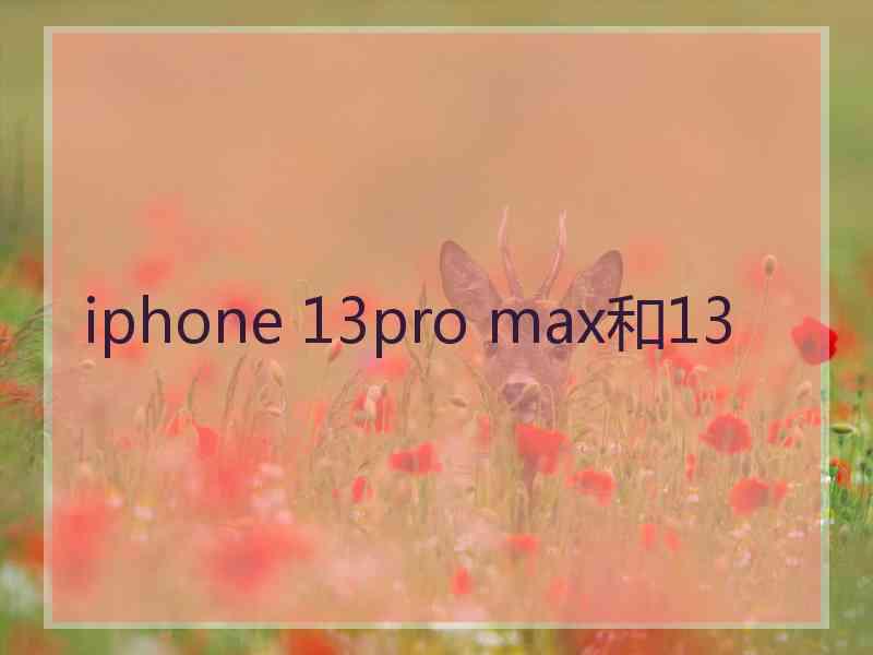 iphone 13pro max和13