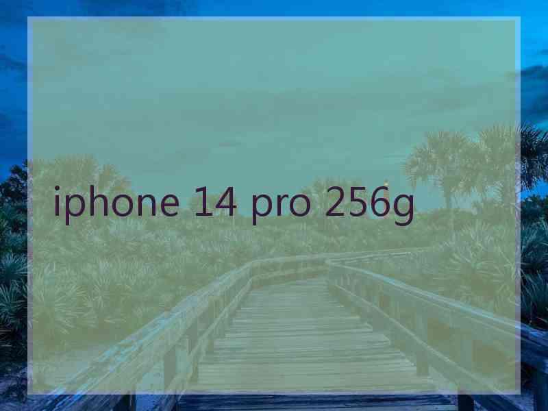 iphone 14 pro 256g