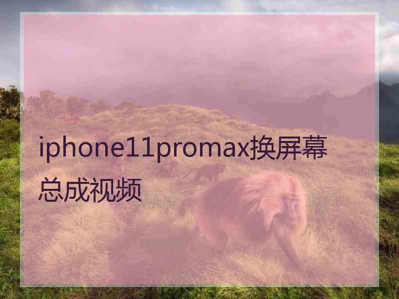 iphone11promax换屏幕总成视频