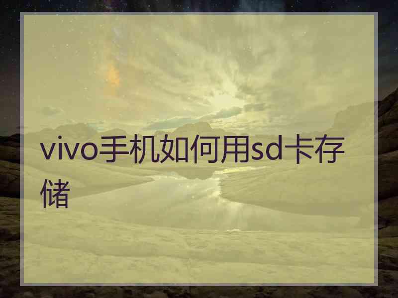 vivo手机如何用sd卡存储