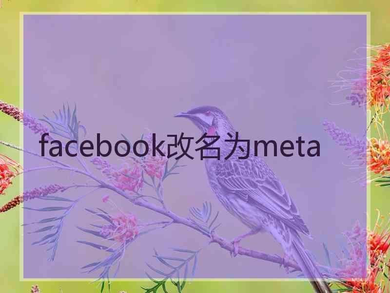 facebook改名为meta 