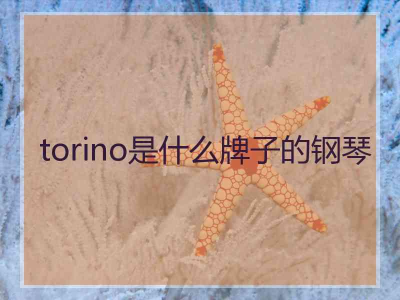 torino是什么牌子的钢琴