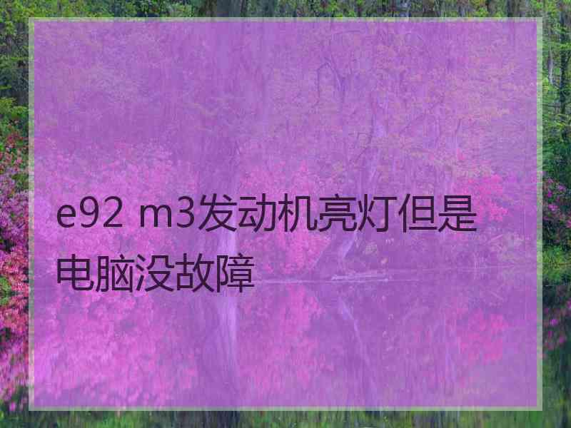 e92 m3发动机亮灯但是电脑没故障