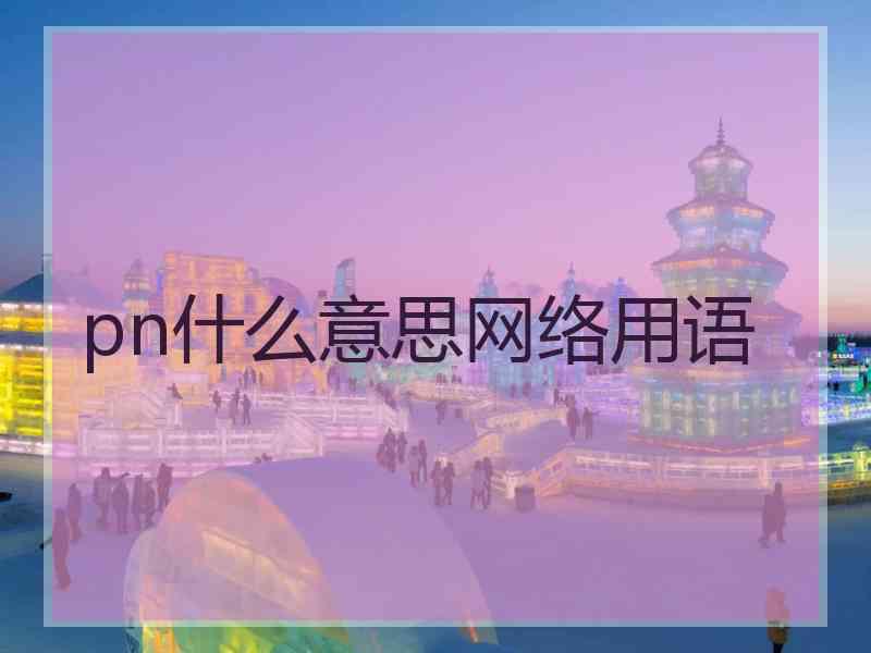 pn什么意思网络用语