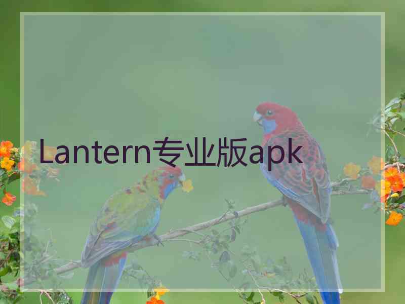 Lantern专业版apk