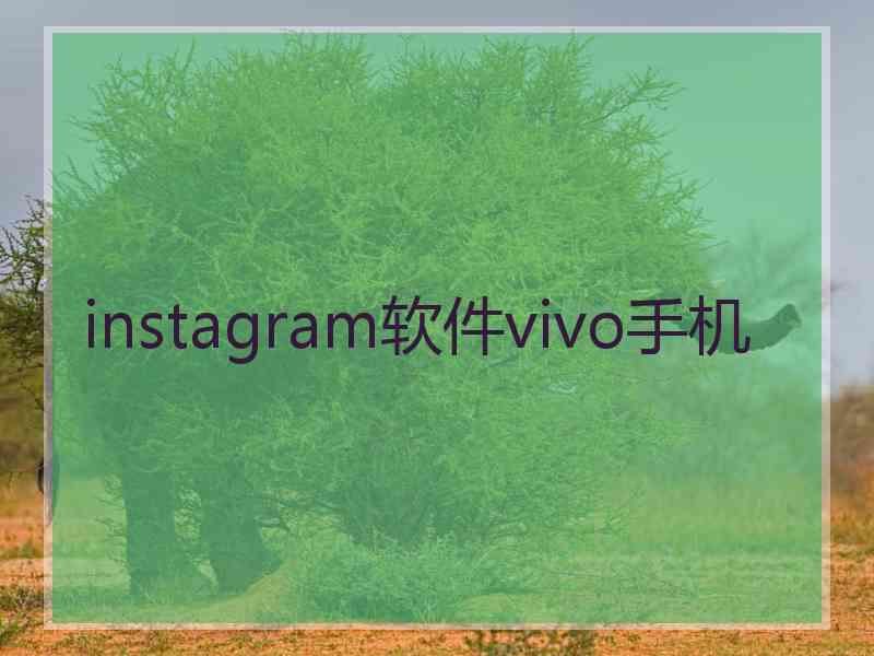 instagram软件vivo手机