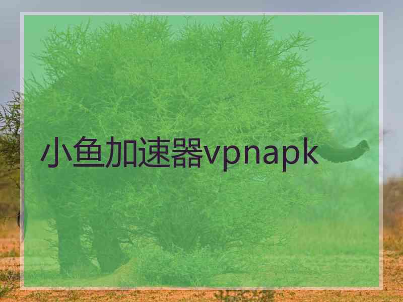 小鱼加速器vpnapk