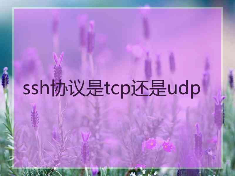 ssh协议是tcp还是udp