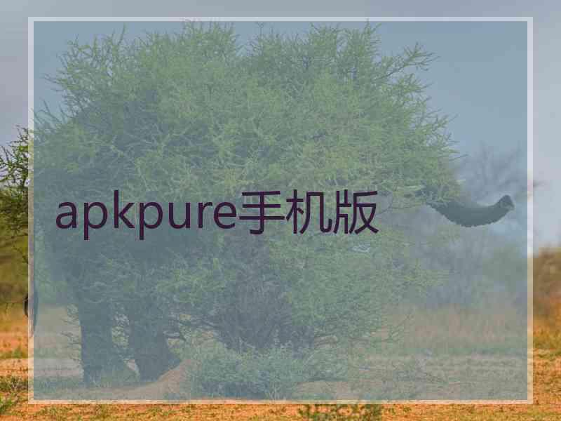 apkpure手机版