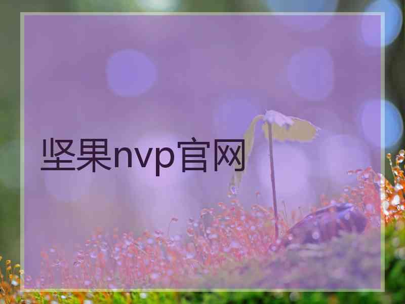 坚果nvp官网