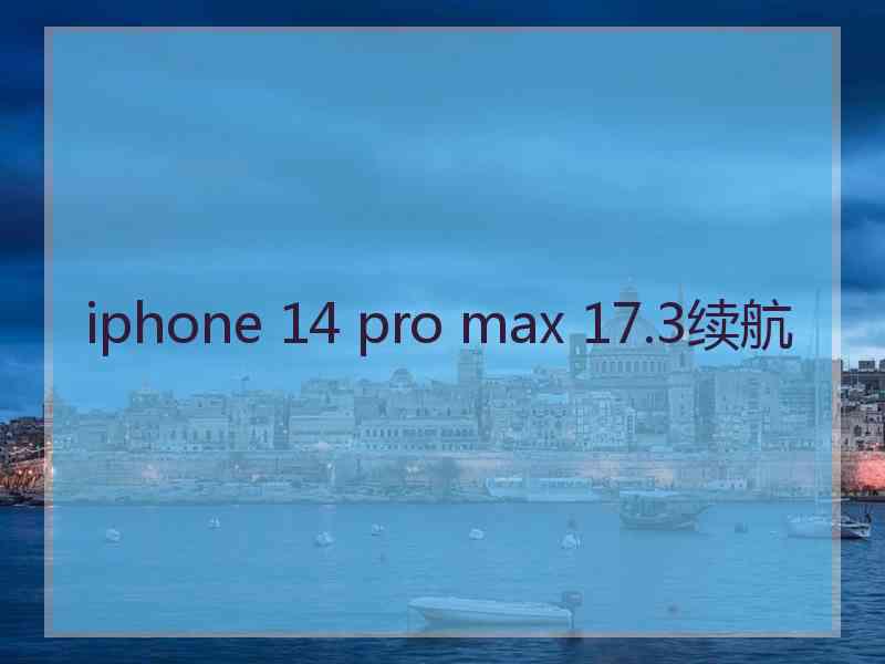 iphone 14 pro max 17.3续航