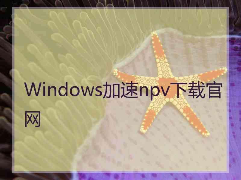 Windows加速npv下载官网