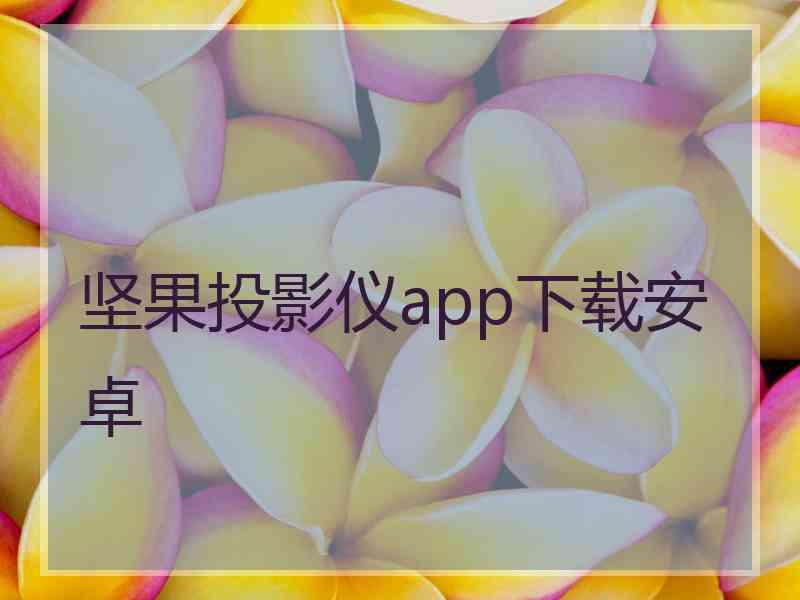 坚果投影仪app下载安卓