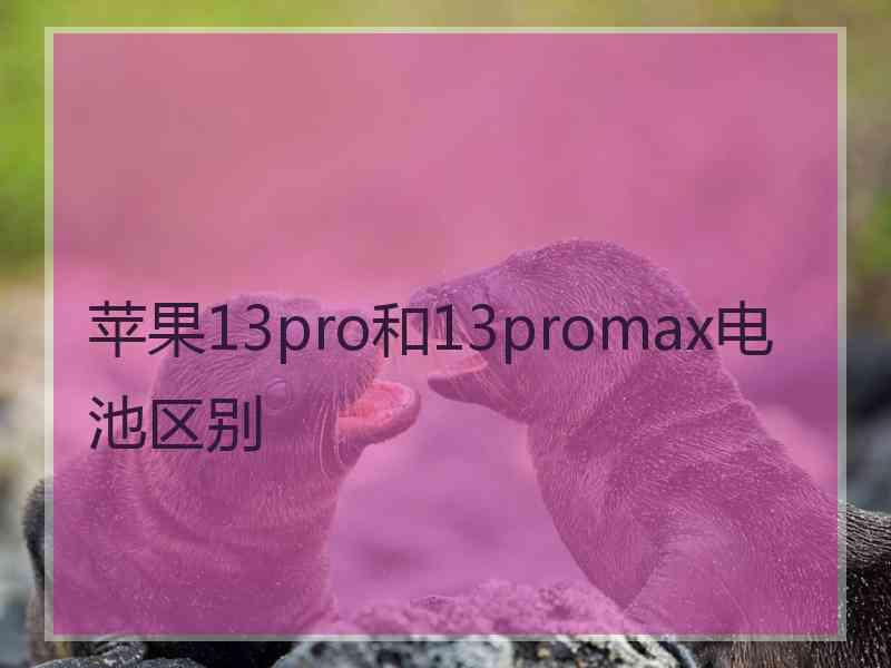 苹果13pro和13promax电池区别