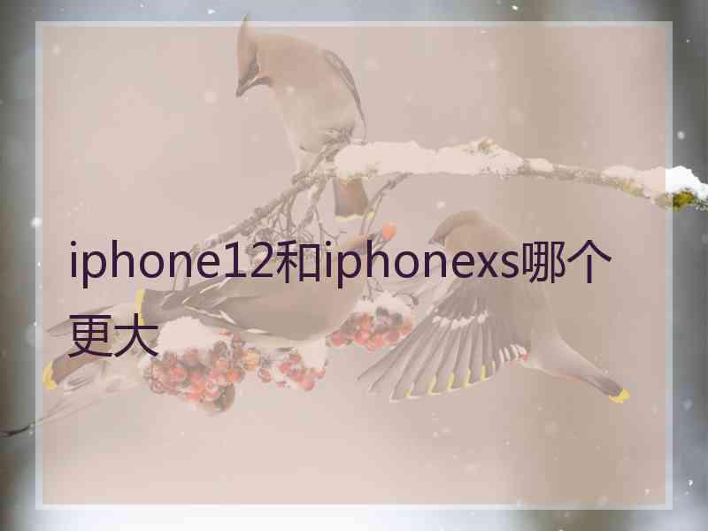 iphone12和iphonexs哪个更大