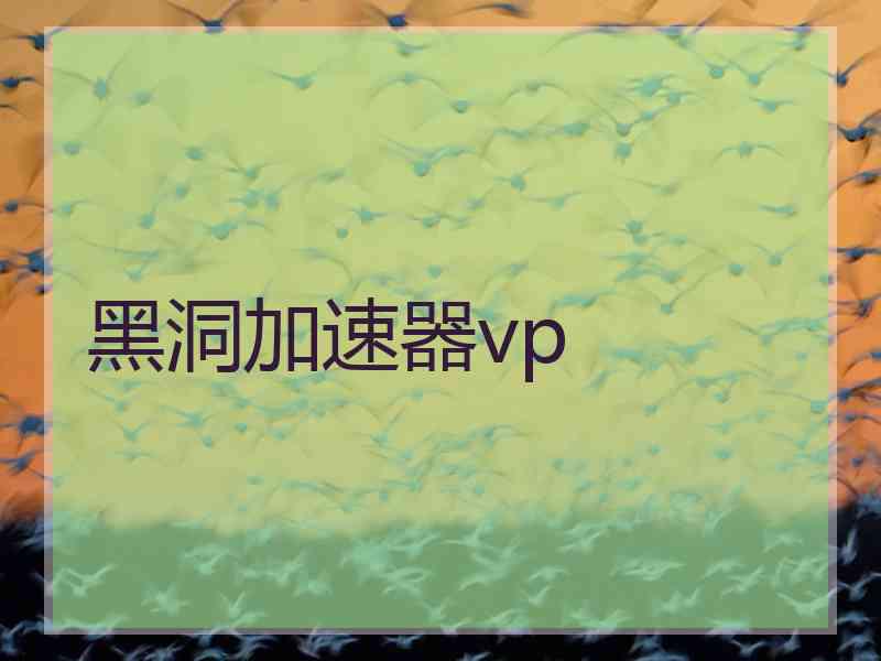 黑洞加速器vp