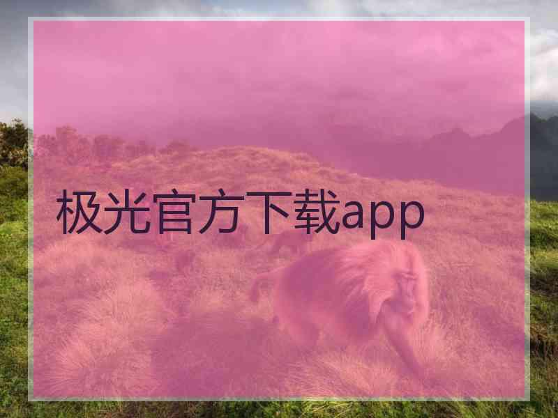 极光官方下载app