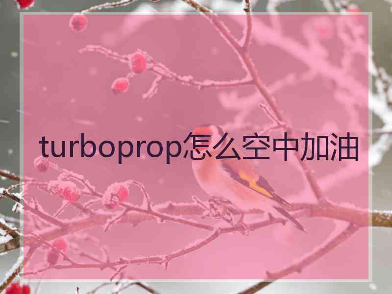 turboprop怎么空中加油