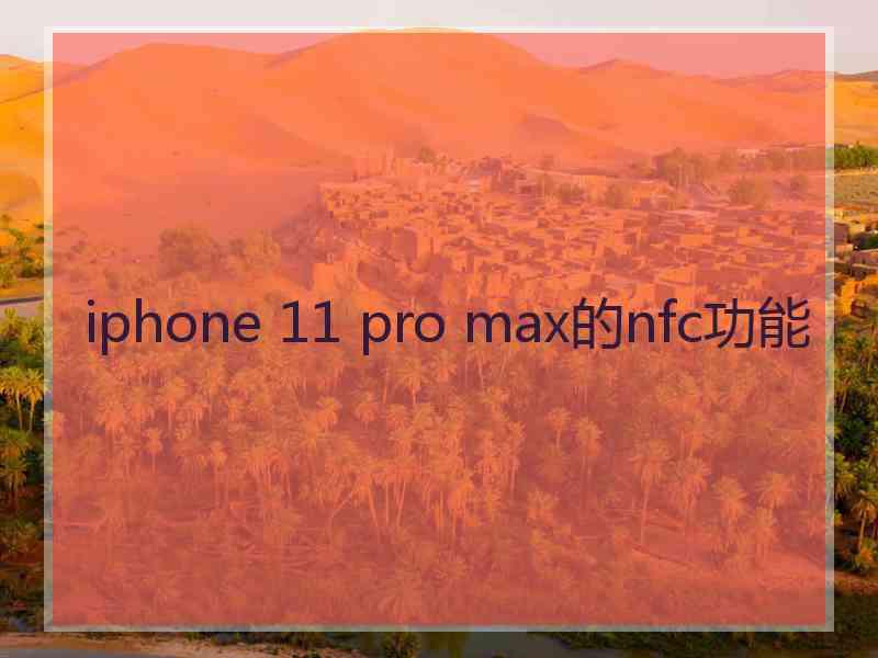 iphone 11 pro max的nfc功能