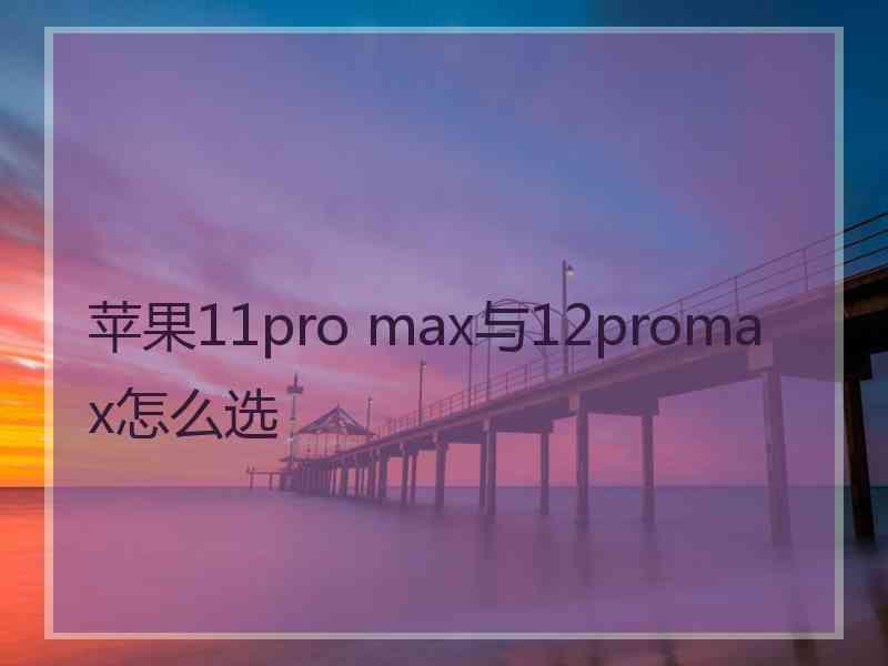 苹果11pro max与12promax怎么选