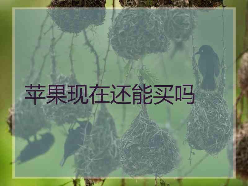 苹果现在还能买吗