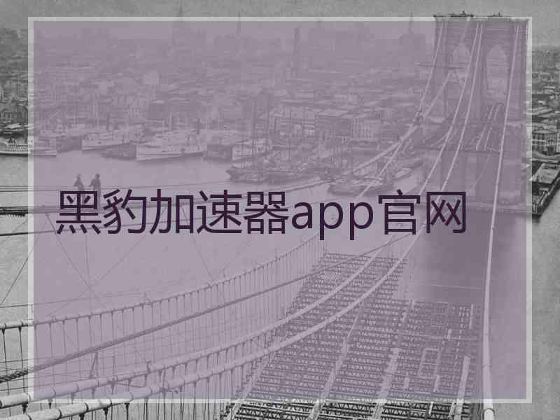 黑豹加速器app官网