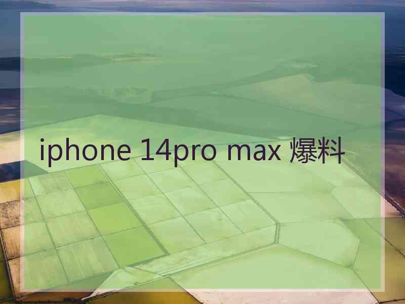 iphone 14pro max 爆料