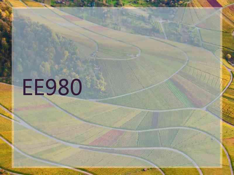 EE980