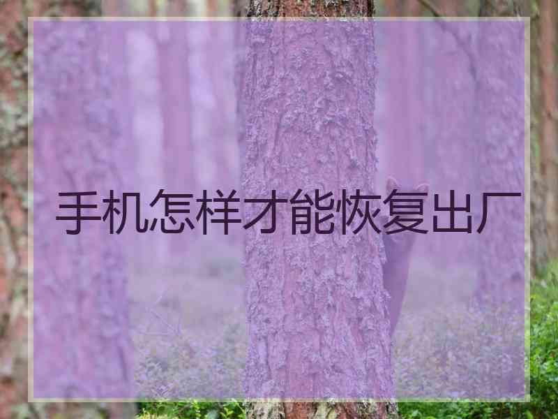 手机怎样才能恢复出厂