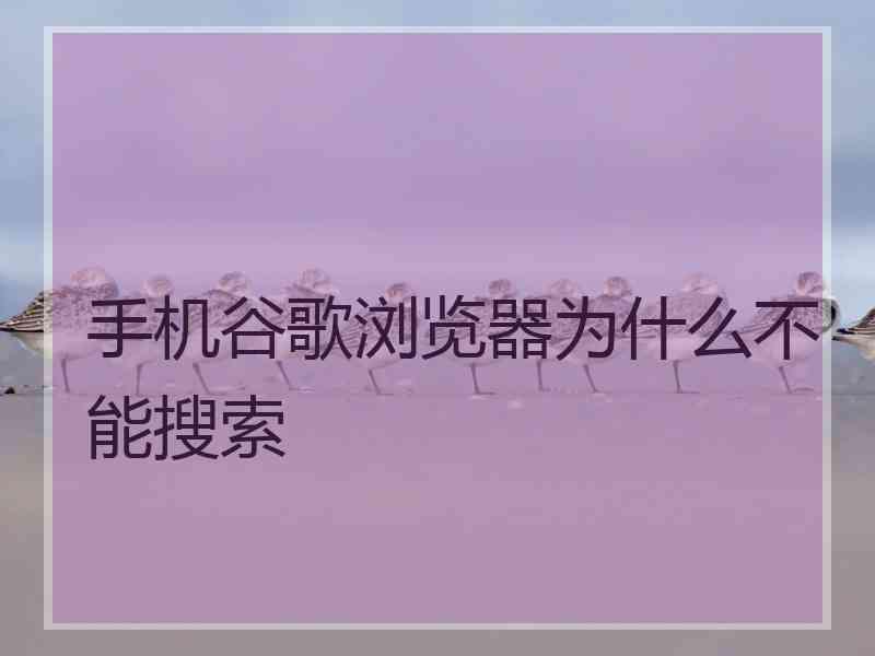 手机谷歌浏览器为什么不能搜索