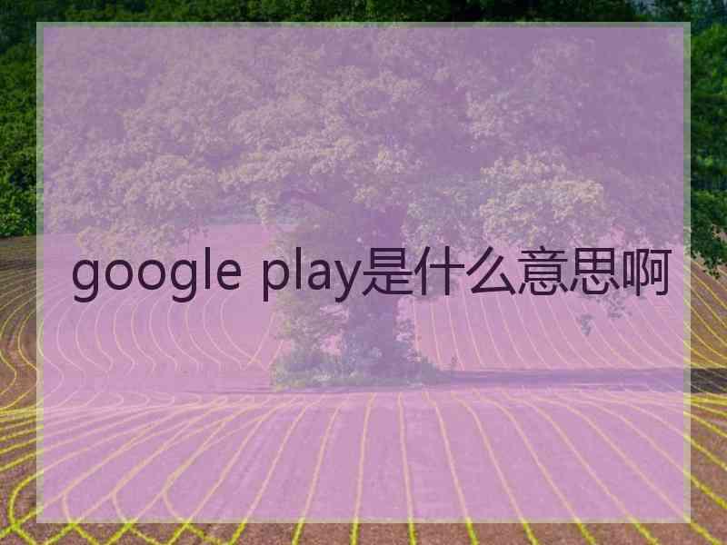 google play是什么意思啊