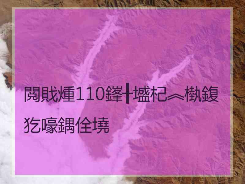 閲戝煄110鎽╂墭杞︽槸鍑犵嚎鍝佺墝