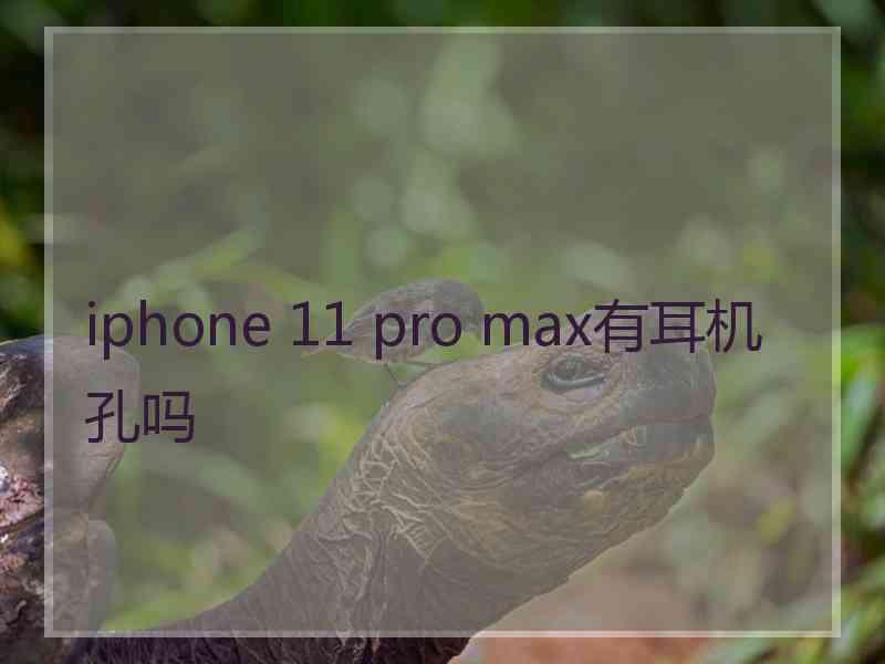 iphone 11 pro max有耳机孔吗