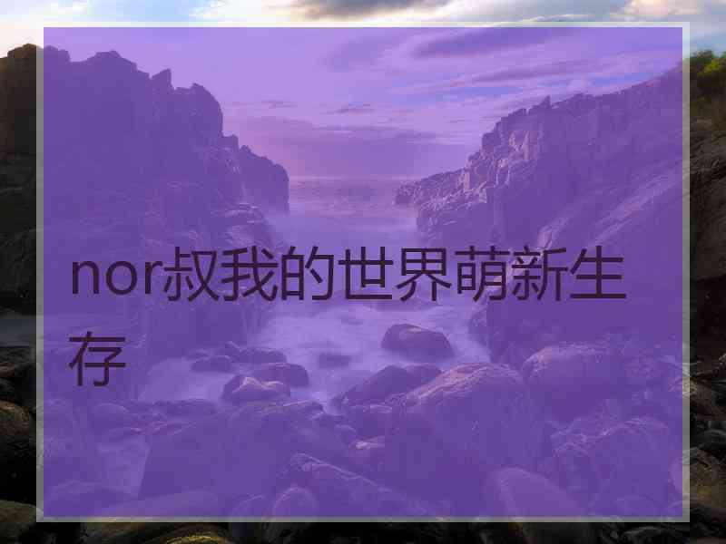 nor叔我的世界萌新生存