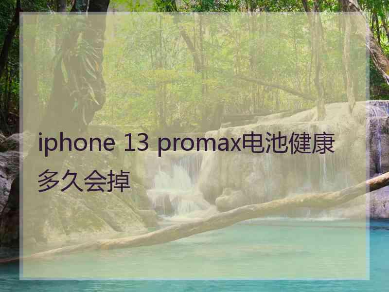 iphone 13 promax电池健康多久会掉