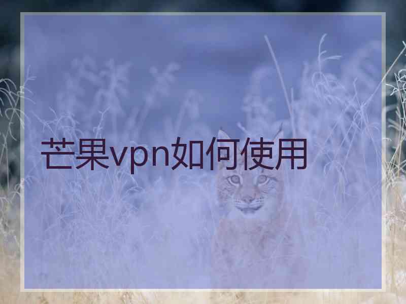 芒果vpn如何使用