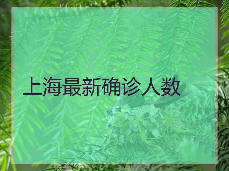 上海最新确诊人数