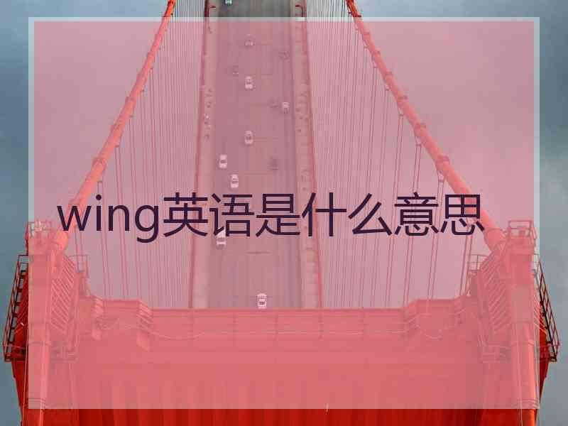 wing英语是什么意思