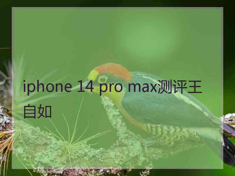 iphone 14 pro max测评王自如