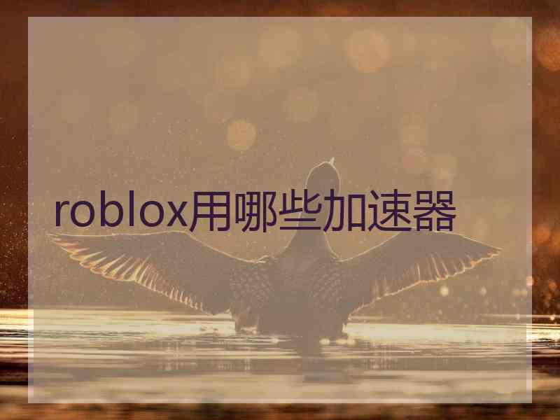 roblox用哪些加速器