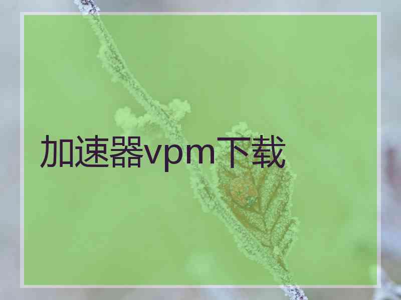 加速器vpm下载