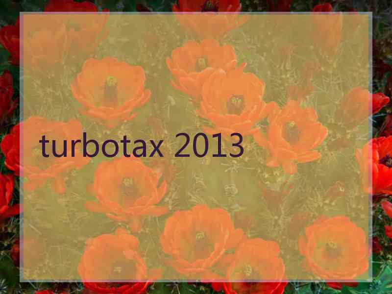 turbotax 2013