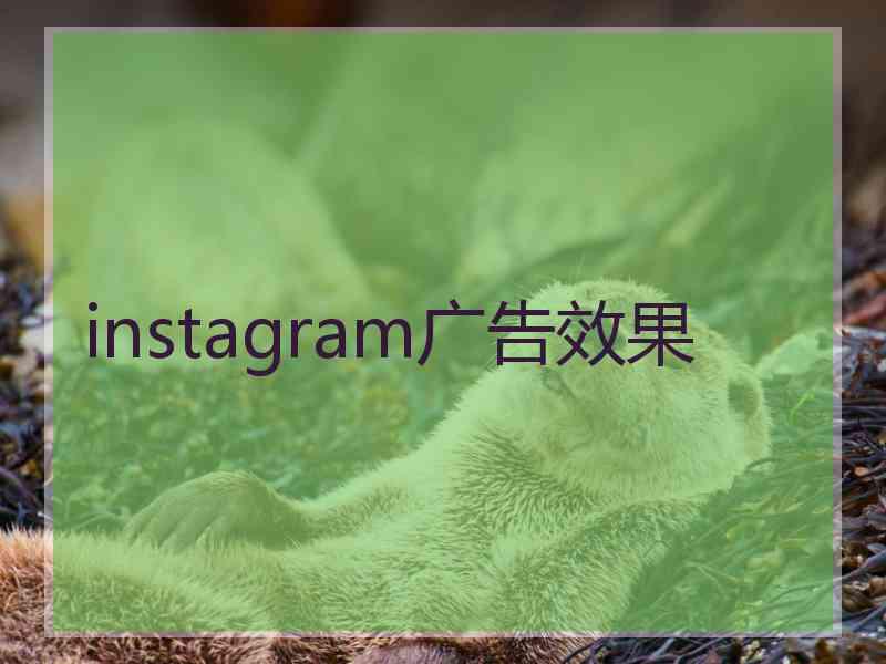 instagram广告效果