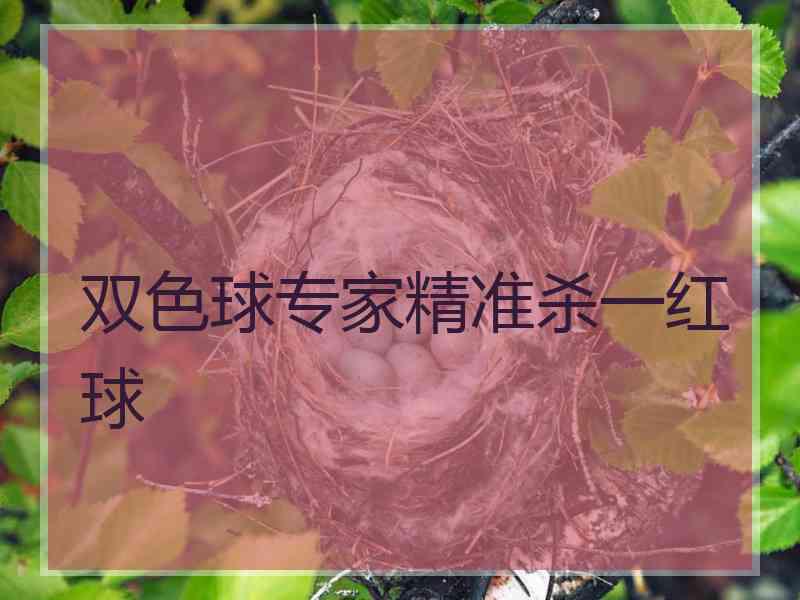 双色球专家精准杀一红球