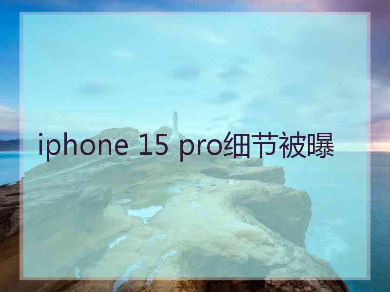 iphone 15 pro细节被曝