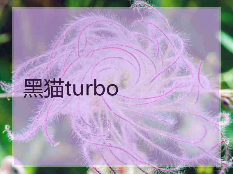 黑猫turbo